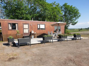 Donnas Place